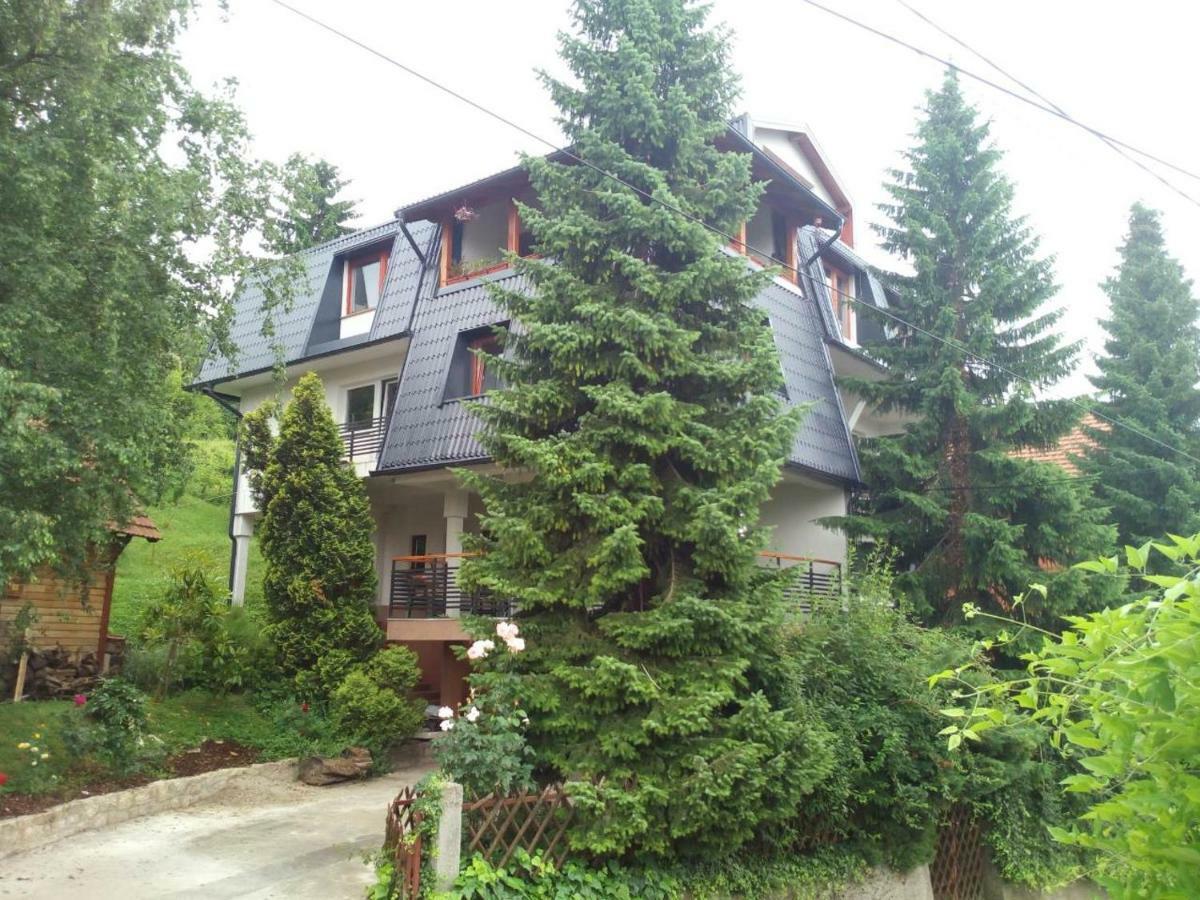 Guesthouse Hill SJJ Buitenkant foto