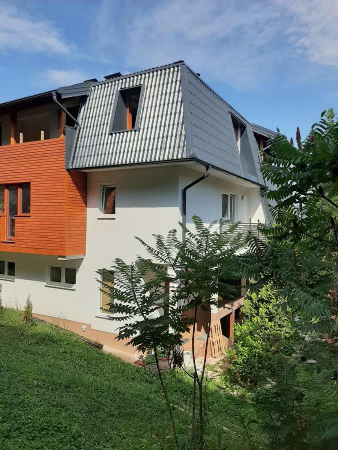 Guesthouse Hill SJJ Buitenkant foto